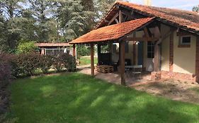 Chalet cozy au milieu des bois